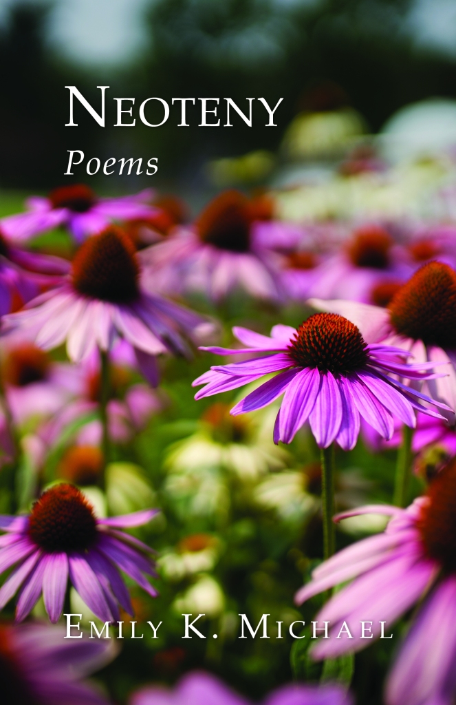 Book cover features title in white lettering against a background of pink, green, and burgundy abstract flowers.